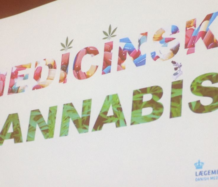 Kort før start: Stadig mange spørgsmål om medicinsk cannabis